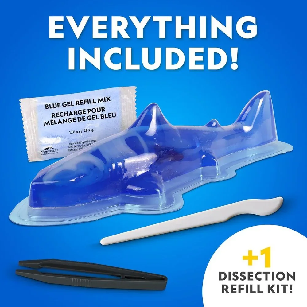 National Geographic Shark Dissection Kit Glow in The Dark Great White Shark Anat